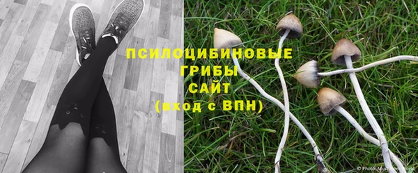 кокс Абинск