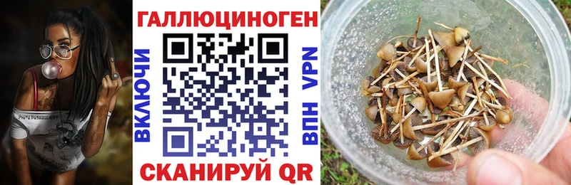 Псилоцибиновые грибы MAGIC MUSHROOMS  Уржум 